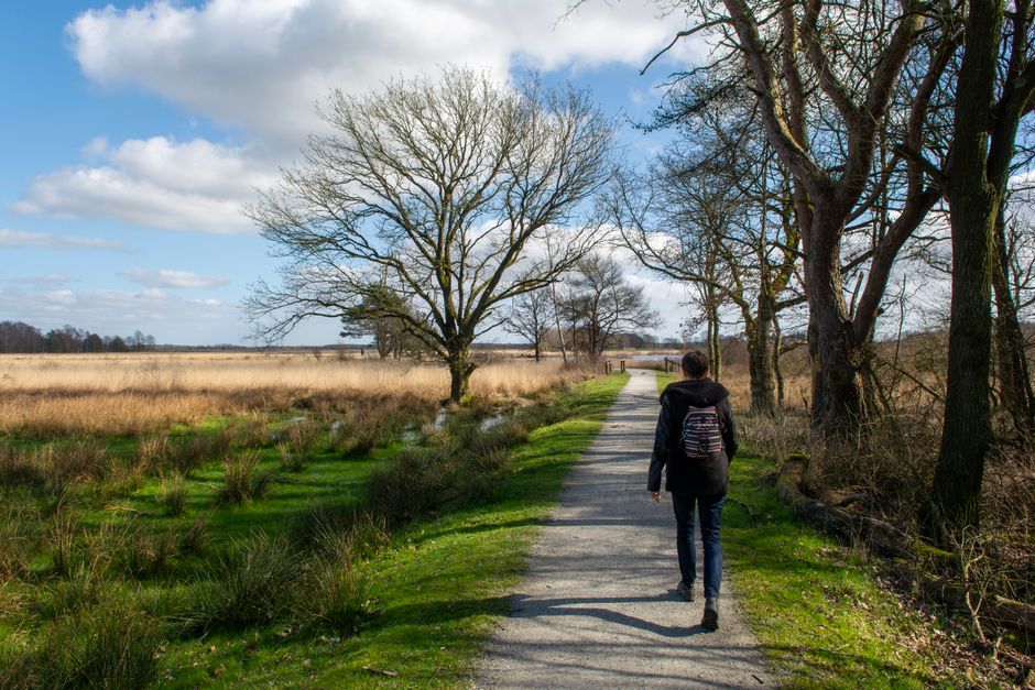 A person walking on a trail through a scenic landscape featuring trees and fields under a blue sky.